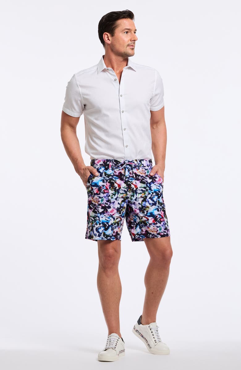 Robert Graham Hughes Woven Shorts, Alternate, color, Multi