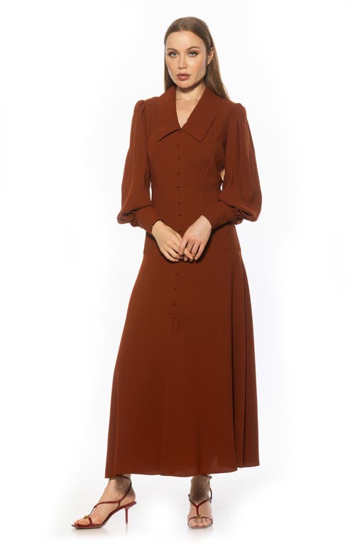 Alexia Admor Kate Collared Long Sleeve Maxi Dress In Brown
