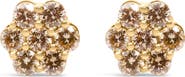 Haus of Brilliance 14K Yellow Gold 1.0 Ct Diamond Floral Stud Earrings