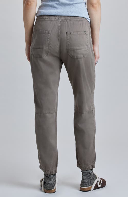 Supplies By Unionbay Nicola Pants In Brown