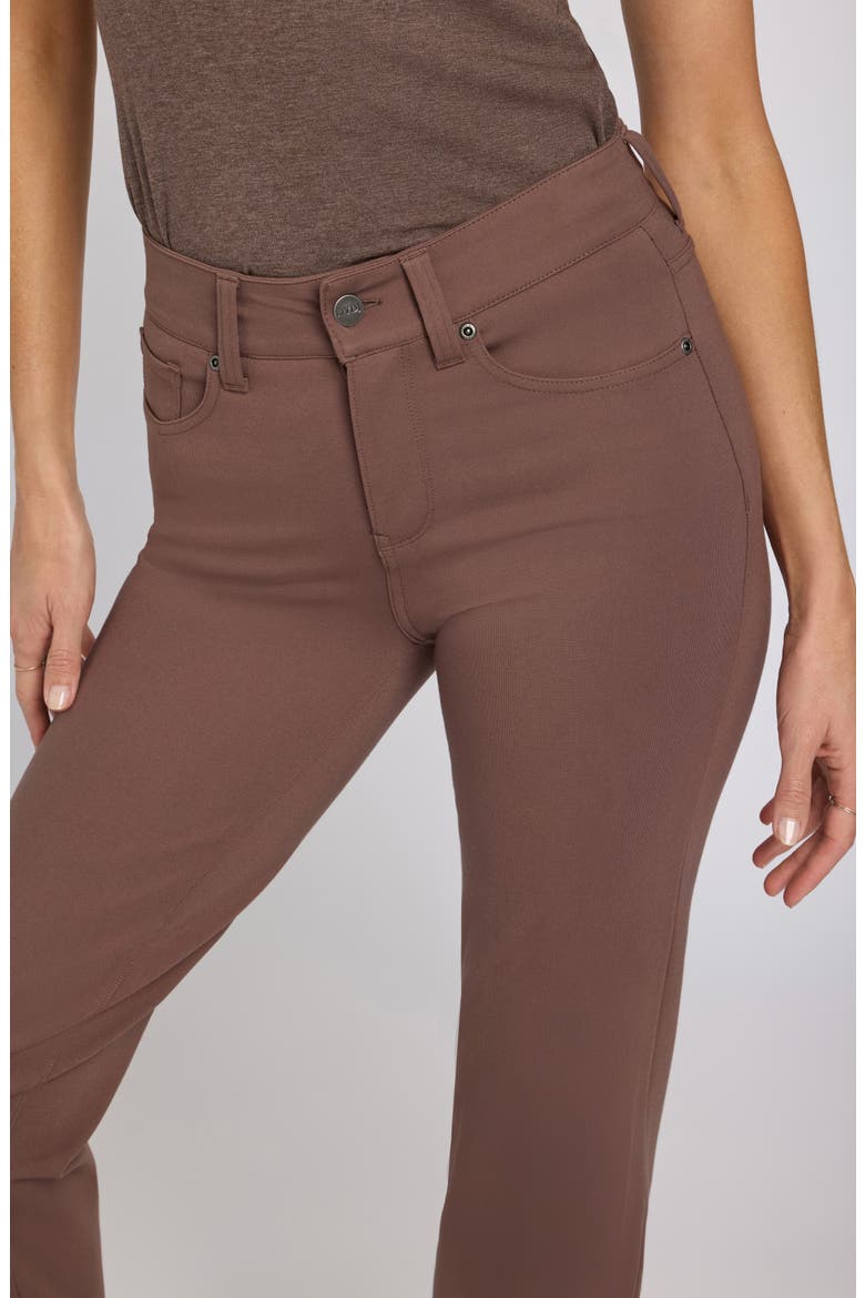 Sculpt-Her™ Marilyn Straight Leg Pants, Alternate, color, DEEP TAUPE