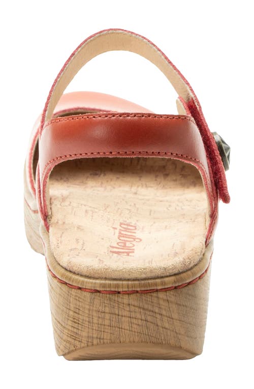 Alegria By Pg Lite Opal Ankle Strap Platform Clog In Pink