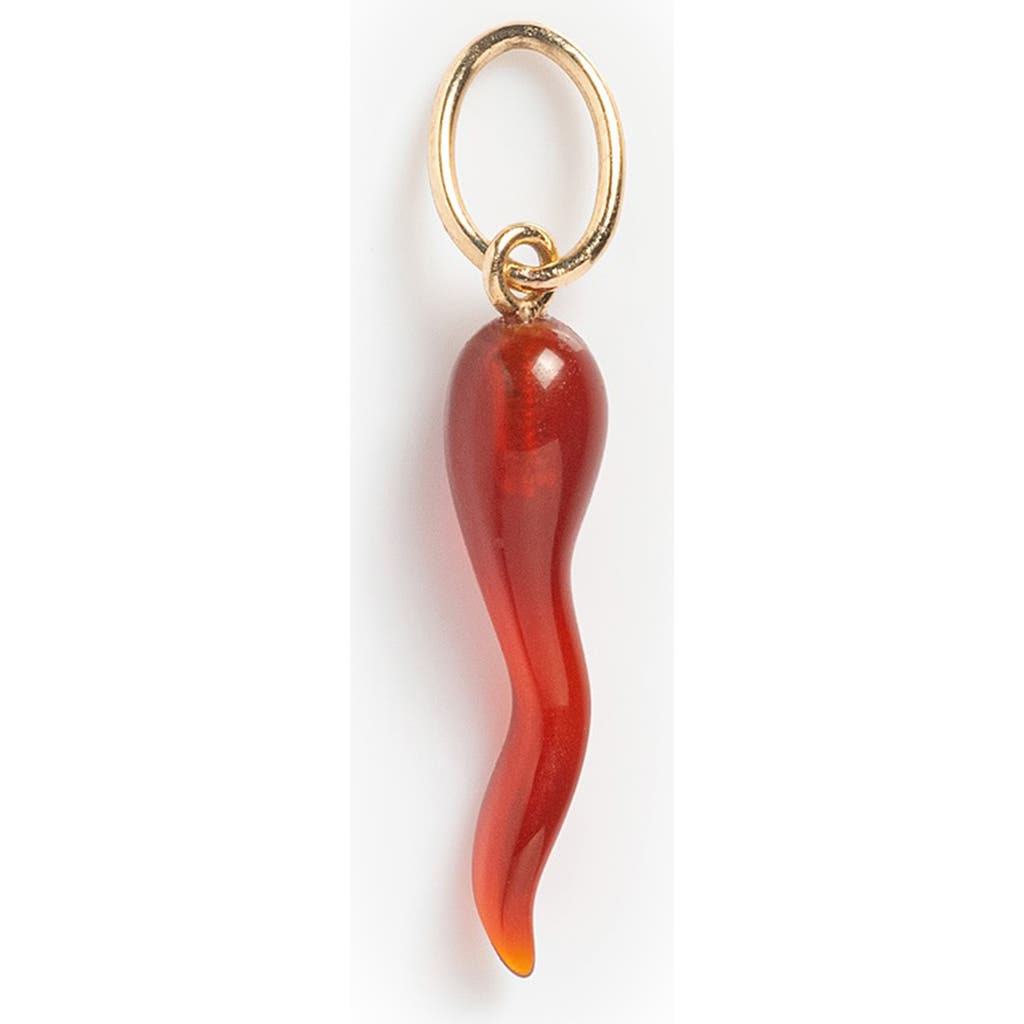Local Eclectic Red Agate Amulet Charm In Red