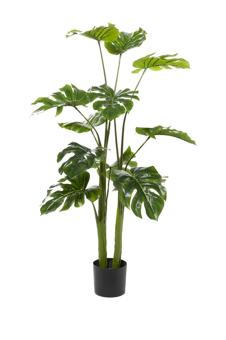 Monstera Artificial Decorative Foliage - 53" - Green, Main, color, MULTI