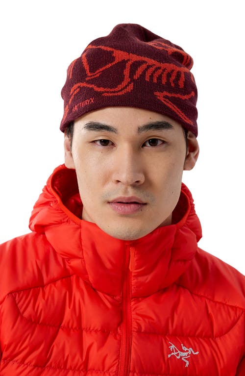 Arc'teryx Bird Head Merino Wool Blend Beanie In Burgundy