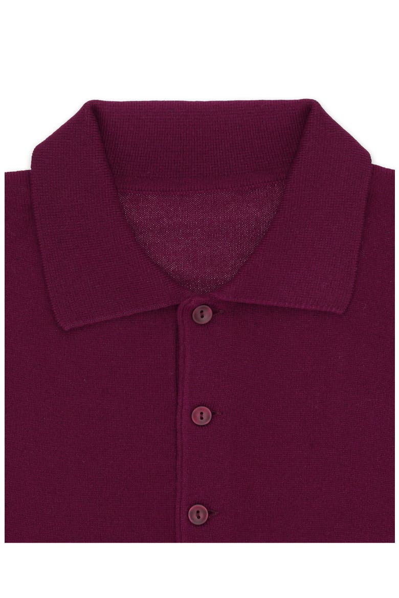 Kenneth Cashmere Polo, Alternate, color, Burgundy