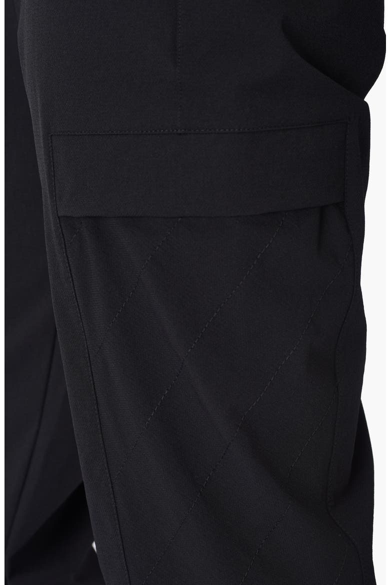 Trekker Water Resistant Hiking Pants, Alternate, color, BLACK