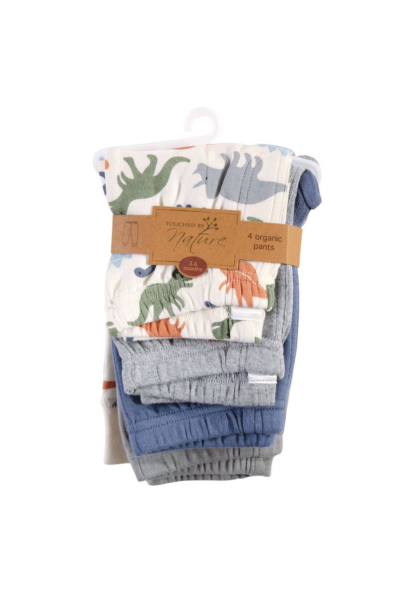 Organic Cotton Pants, Alternate, color, Bold Dinosaurs