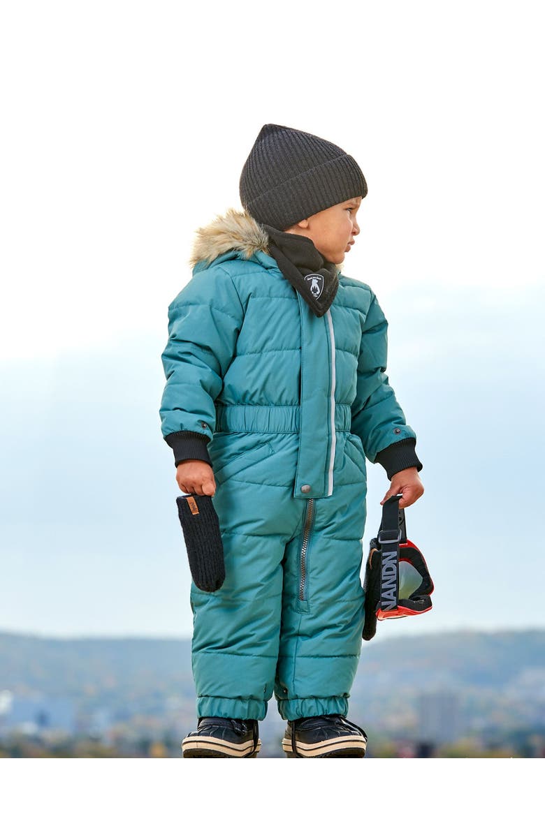 Deux par Deux Baby Unisex One Piece Baby Snowsuit Silver Pine, Alternate, color, 