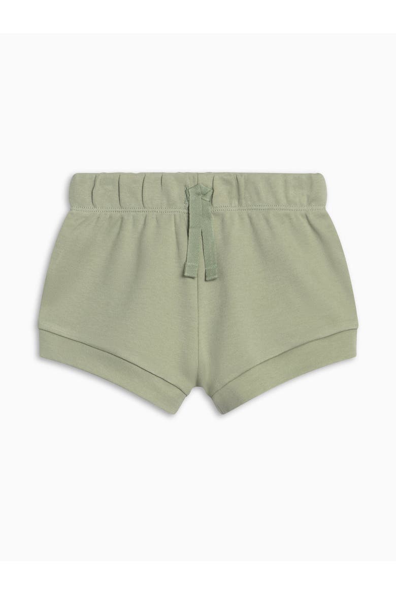 Organic Havana Shorts, Alternate, color, Mint