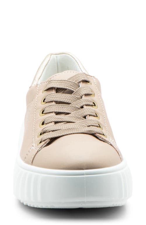 Ara Mikky Platform Sneaker In Neutral