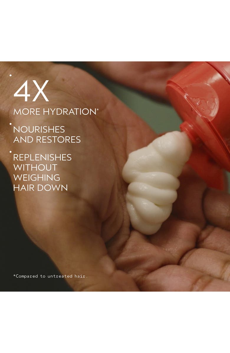 Aveda nutriplenish<sup>™</sup> Treatment Masque, Alternate, color,