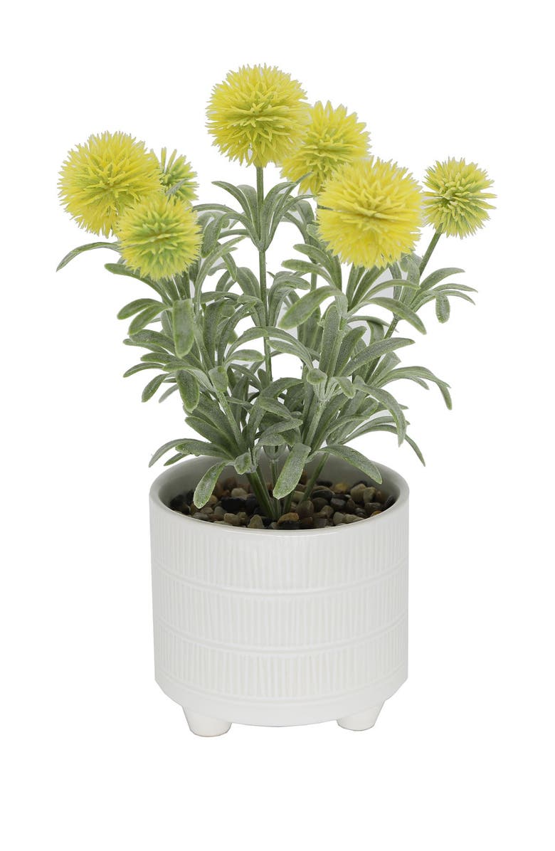 FLORA BUNDA 10" Pompom in 4" Ceramic Footed Ceramic Pot, Main, color, 