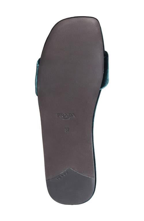 Shop Prada Logo Velvet Slide Sandal In Bottiglia