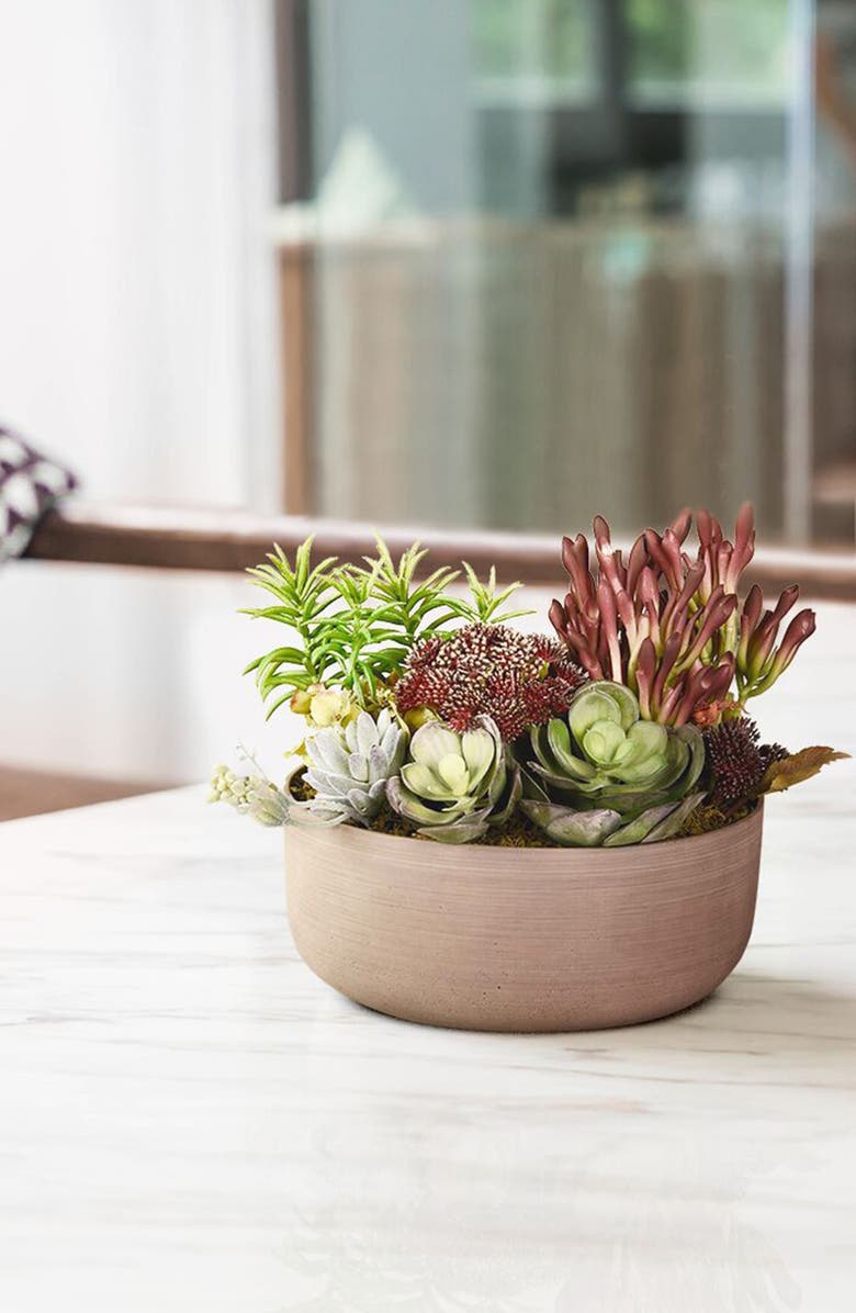 Bloomr Desert Dunes Succulent Arrangement Planter Decoration, Alternate, color, 