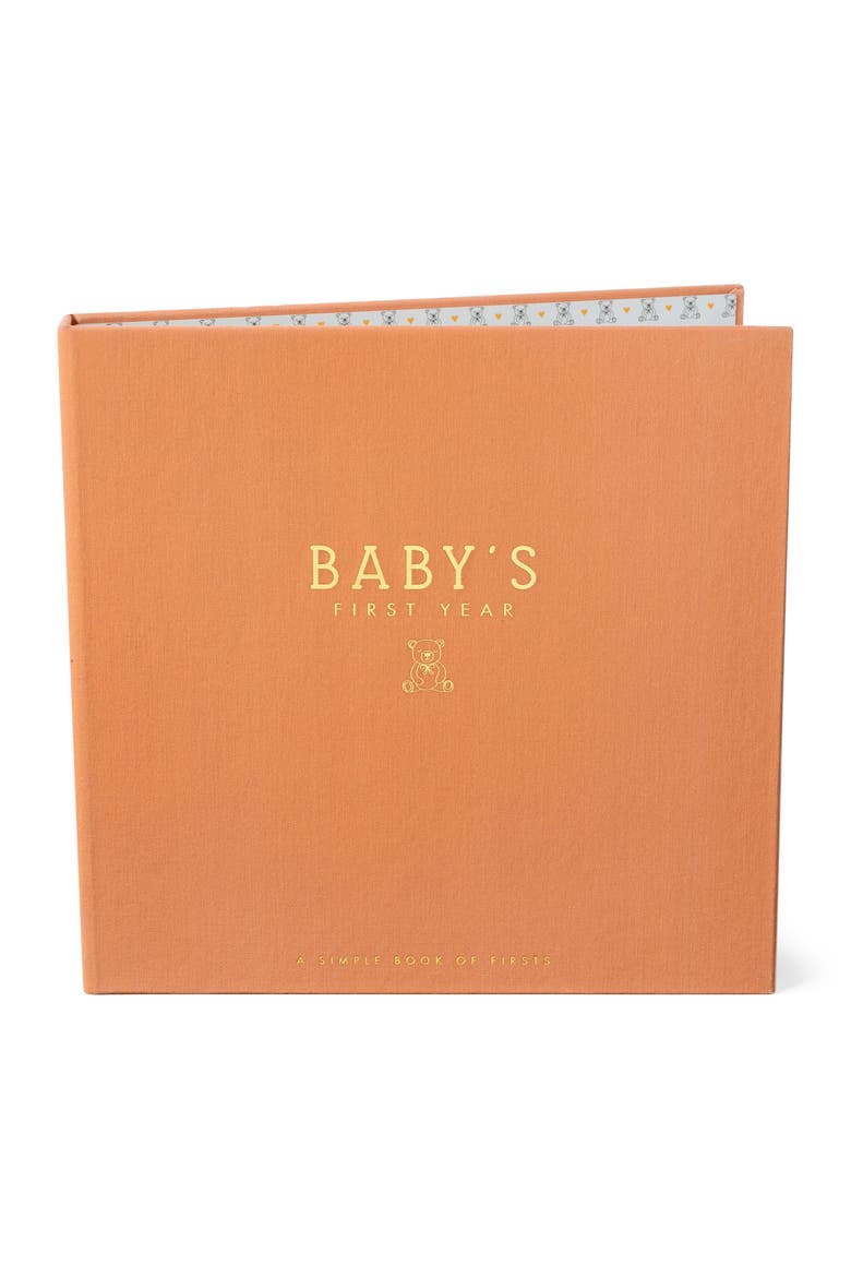 'Baby's First Year' Teddy Bear's Picnic Memory Book, Alternate, color, RUST