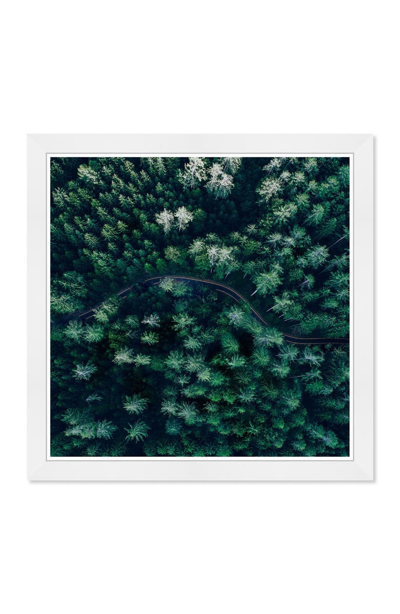 Wynwood Studio Breathe in The Forest Square Art, Main, color,