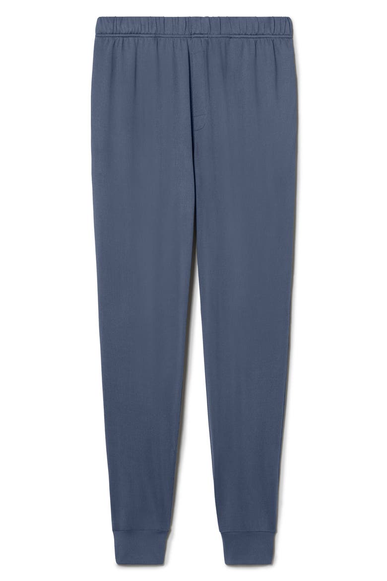 Cozy Pajama Joggers, Alternate, color, VINTAGE INDIGO