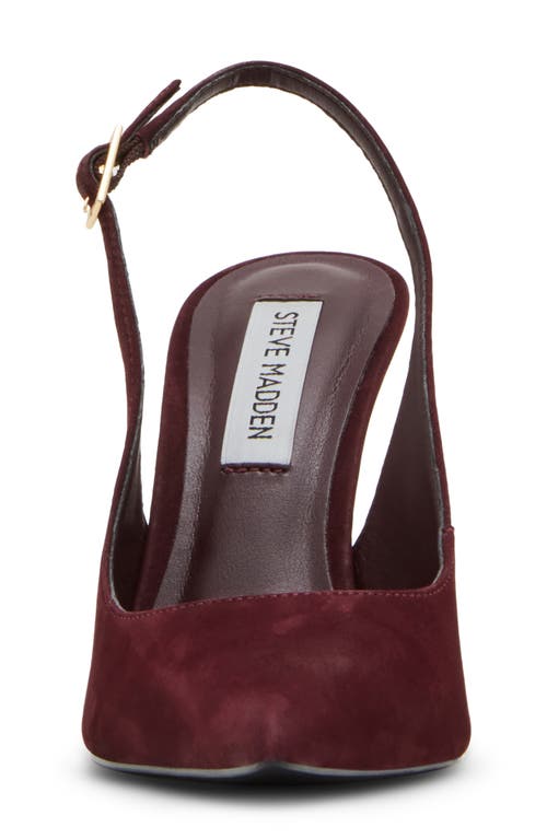 Steve Madden Blare Slingback Pointed Toe Pump In Burgundy