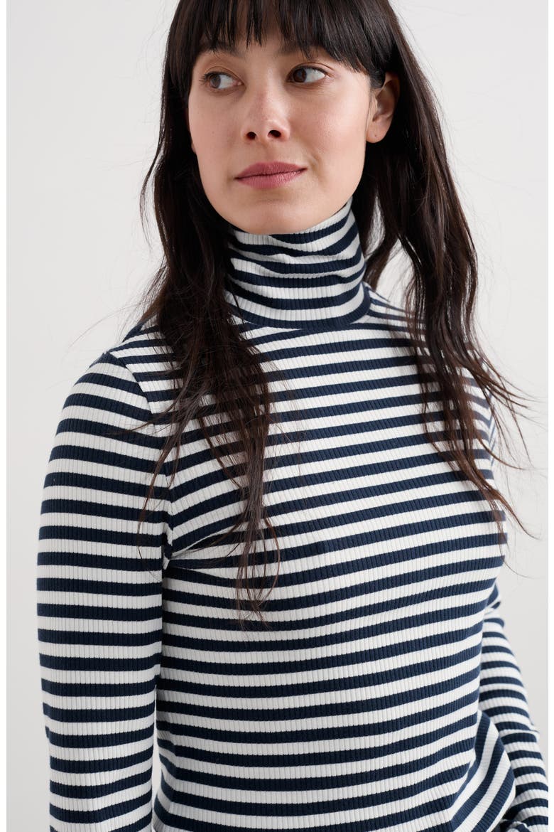 Hazel Stripe Cotton Turtleneck, Alternate, color, MINI CORNISH MARITIME CHALK