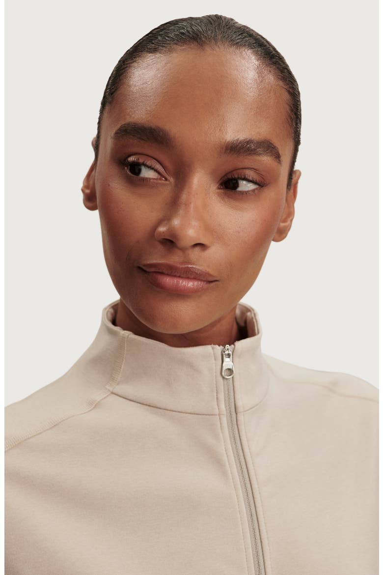 Lamia Half Zip Sweatshirt, Alternate, color, PEBBLE MARL