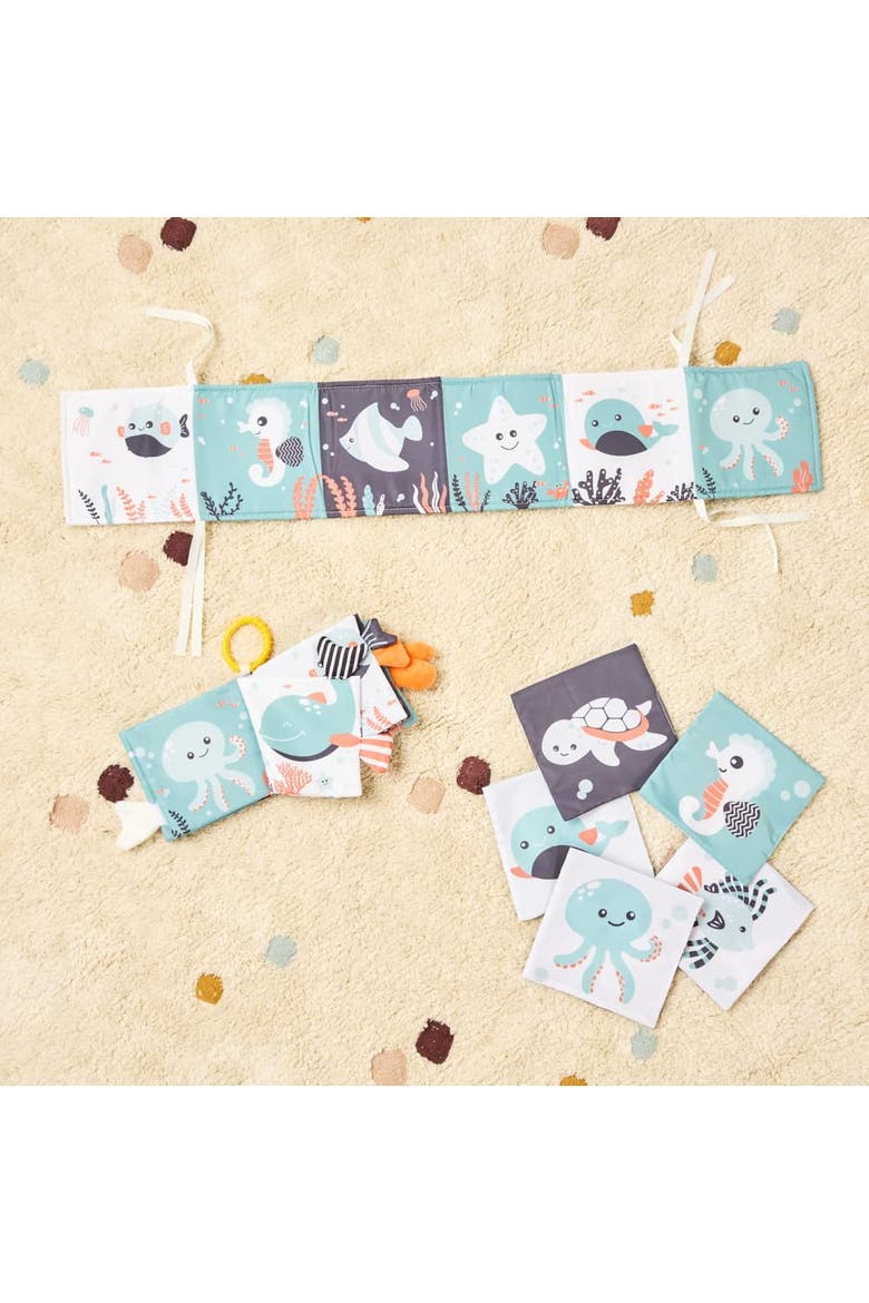 Sea Flashcards Set, Alternate, color, Multi