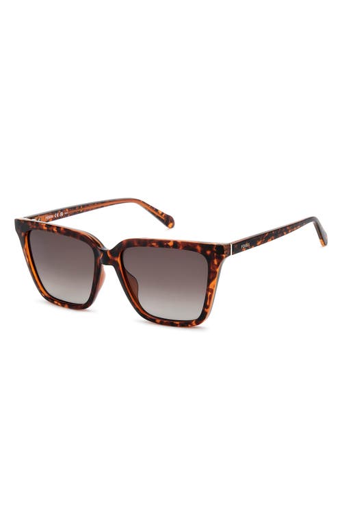 Fossil 56mm Square Sunglasses In Brown