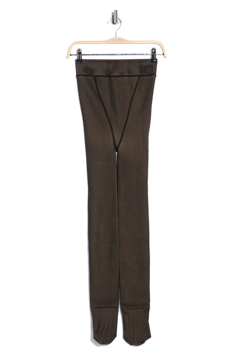 Tahari Faux Sheer Fleece Lined Tights, Alternate, color, Black