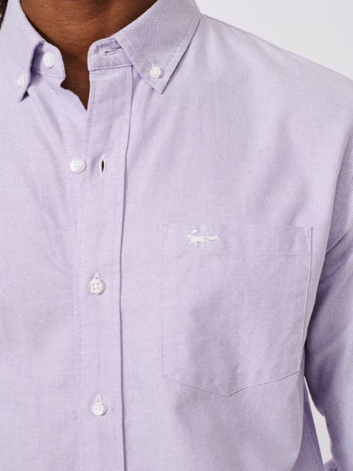 Aubin Aldridge Oxford Button Down Shirt In Purple