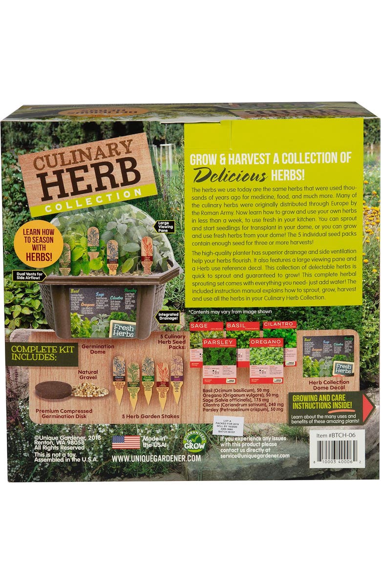 Unique Gardener Culinary Herb Collection Biosphere Terrarium, Alternate, color, Clear