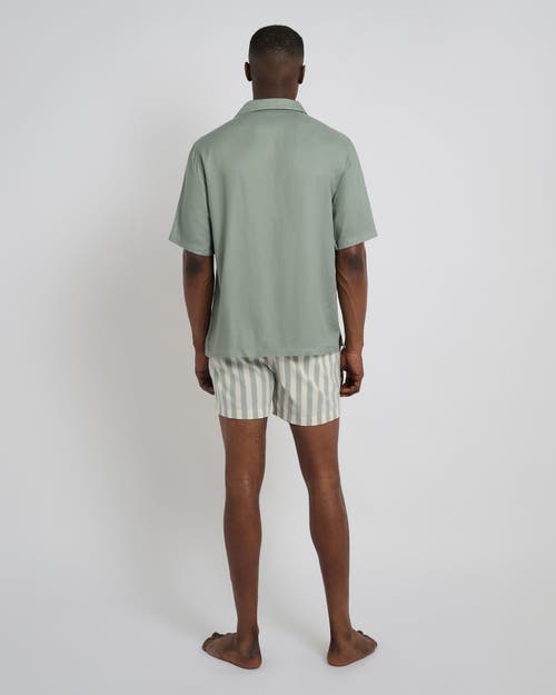Onia Charles 4" Swim Trunk In Sage/cream