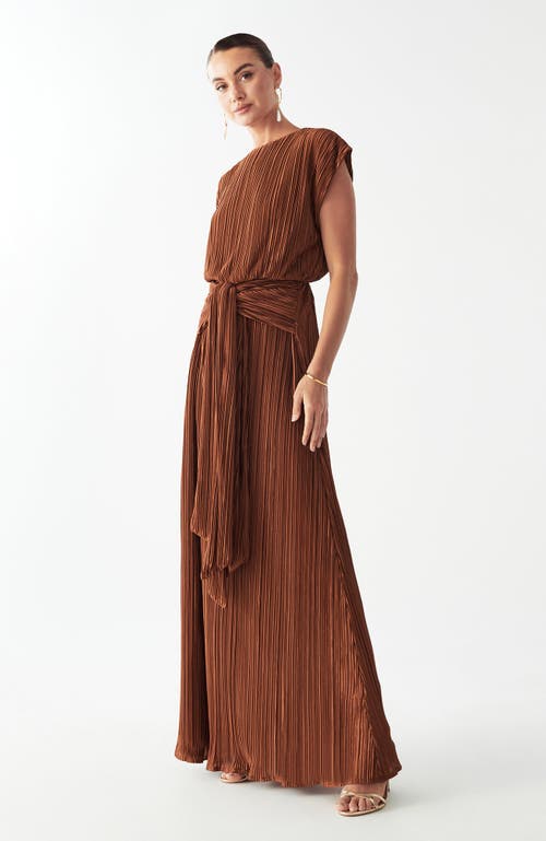 Savel Zarina Maxi Dress In Brown