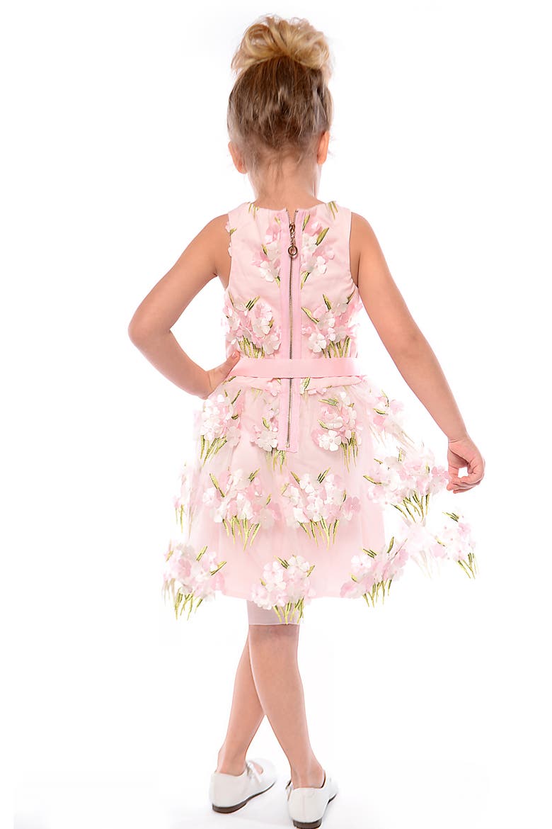 Kids' Embroidered Party Dress, Alternate, color, PINK MULTI
