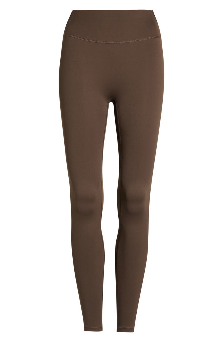 NikeSKIMS Matte Leggings, Alternate, color, Nskm Dark Sepia