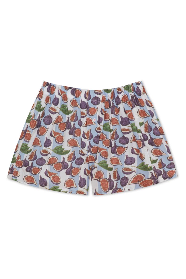 Organic Cotton Fig Spread Boxer Short, Main, color, BLUE WHITE STRIPE