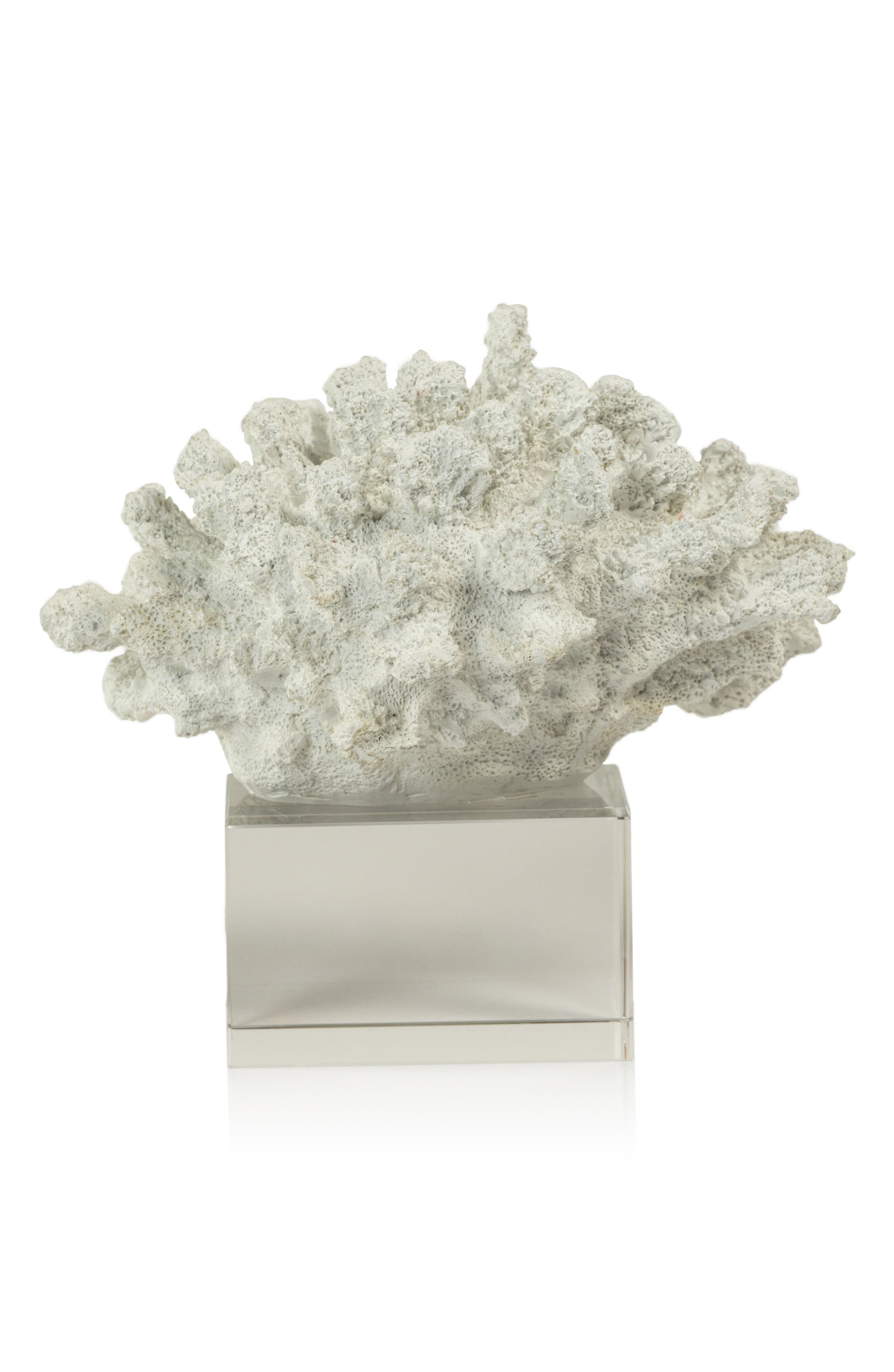 Zodax Coral on Base Decor