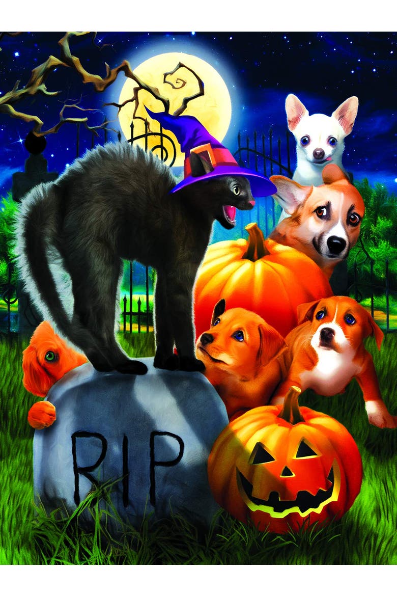 Don't mess with Kitty 1000 piece Jigsaw Puzzle for Adults, Alternate, color, Multicolor