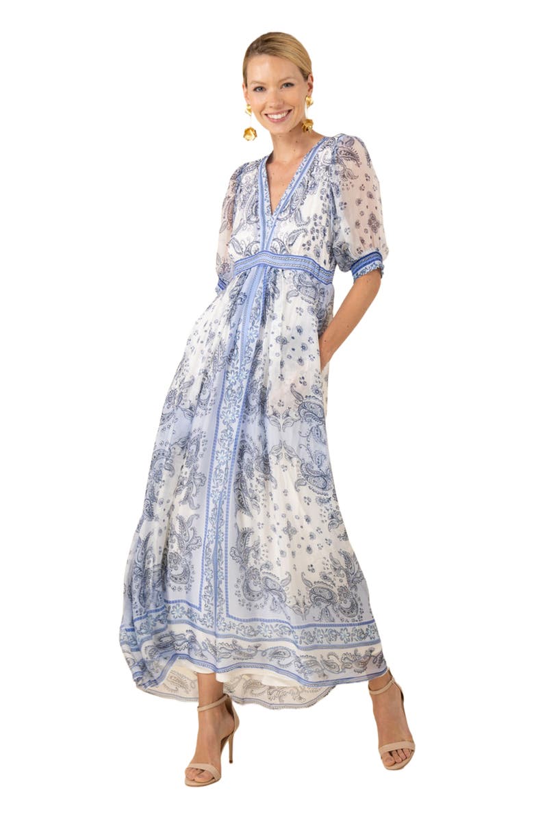 Hale Bob Lilian Chiffon Maxi Dress, Alternate, color, 
