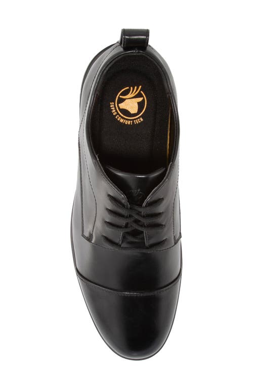 DEER STAGS DEER STAGS SIENNA DERBY