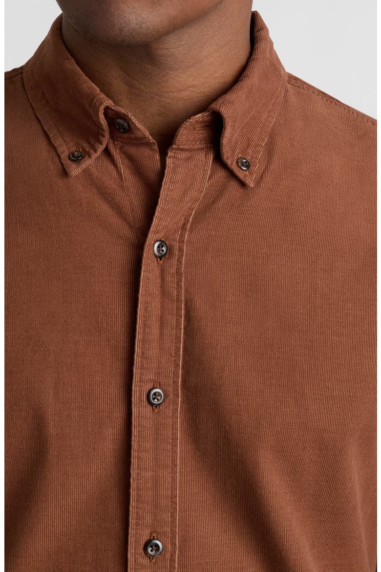 Cotton Corduroy Button-Down Shirt, Alternate, color, TORTOISE SHELL - 19-1241 TCX