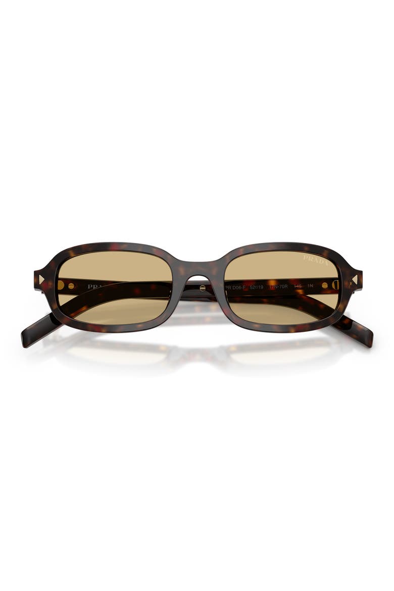 52mm Oval Sunglasses, Alternate, color, ROOT TORTOISE / LIGHT BROWN
