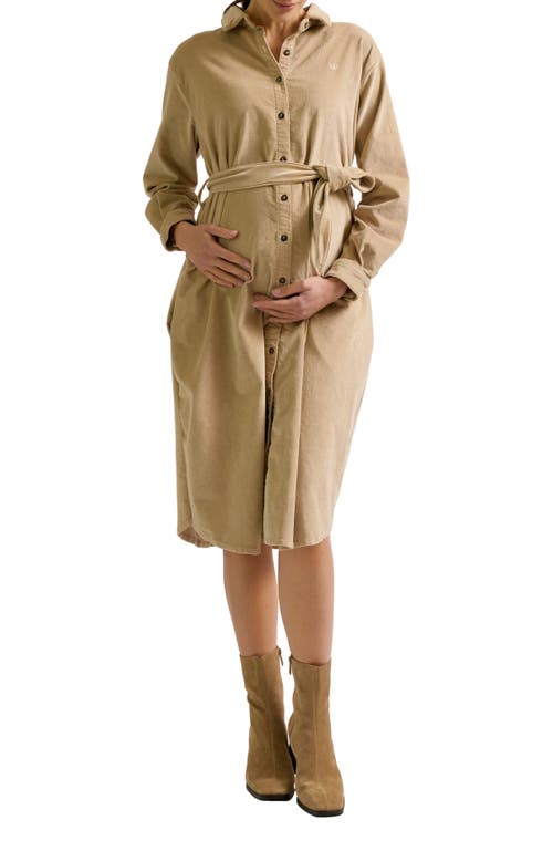 Zzdnu Cache Couer Jude Maternity Dress In Brown