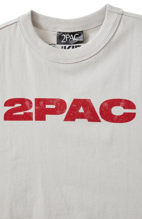 Cotton On Kids Kid's Licensed Drop Shoulder Short Sleeve Tee In Winter Grey 2pac