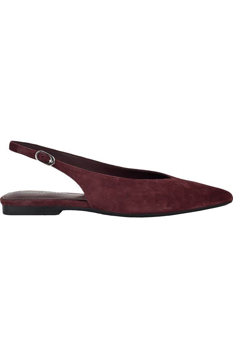 Calvin Klein Galiana Slingback Pointed Toe Flat, Alternate, color, Dark Red