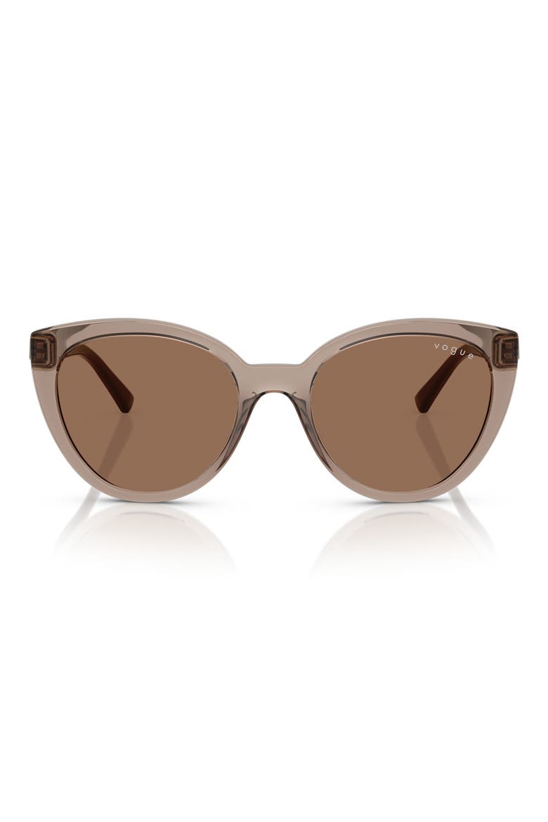 53mm Cat Eye Sunglasses, Main, color, TRANSPARENT BROWN