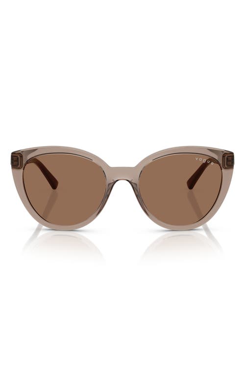 Vogue 53mm Cat Eye Sunglasses In Transparent Brown