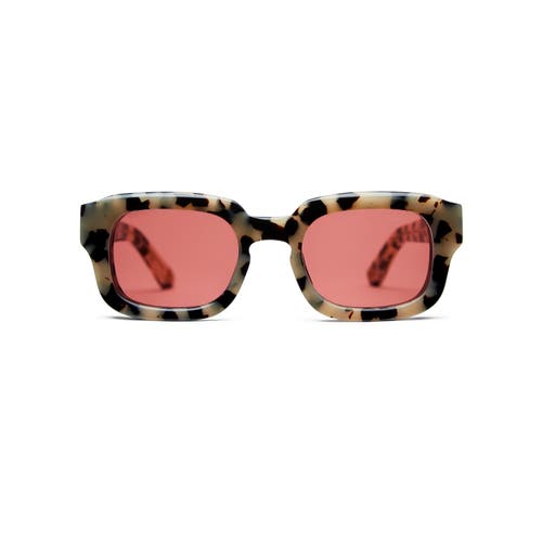 Vada Haskell Sunglasses In Brown
