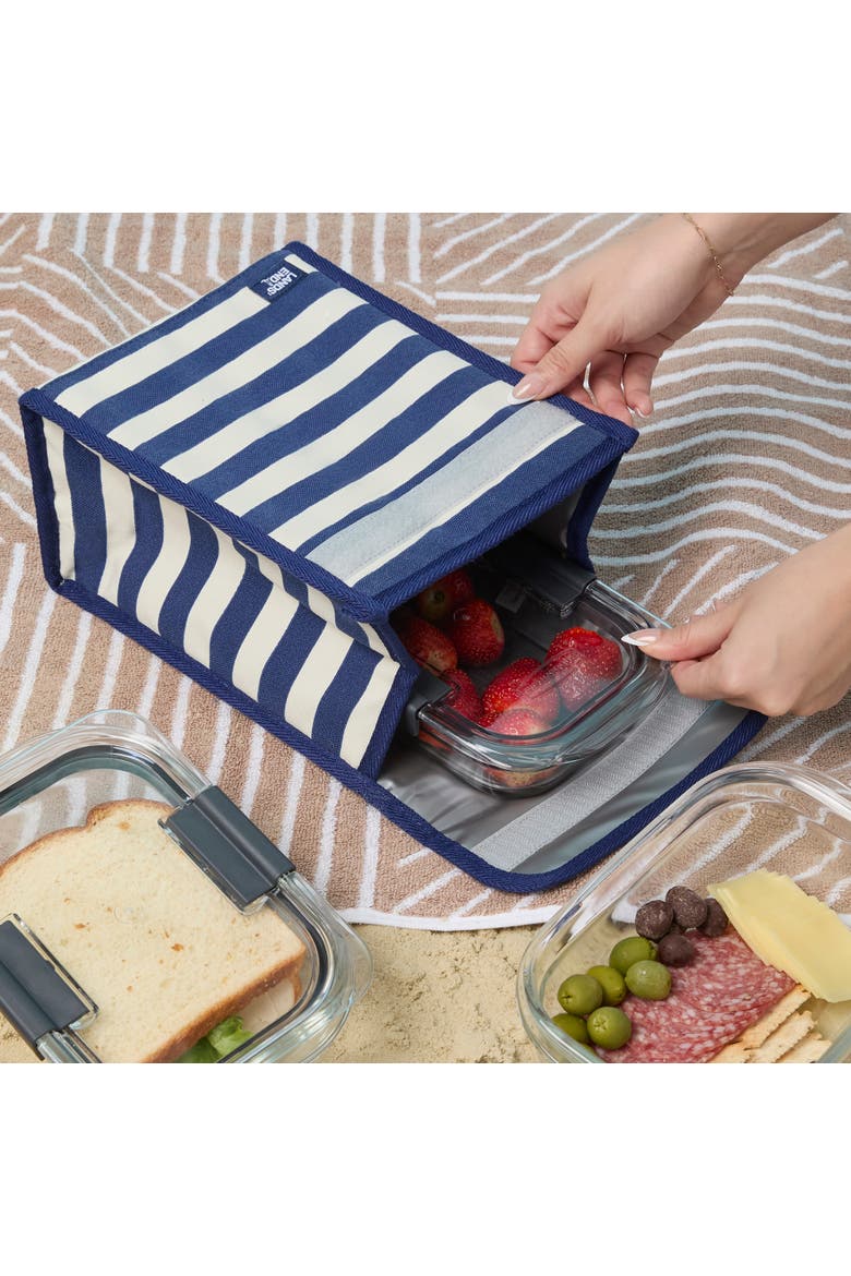 Small Cooler Bag Polyester Canvas, Soft Cooler Lunch Box, Alternate, color, Navy Stripe