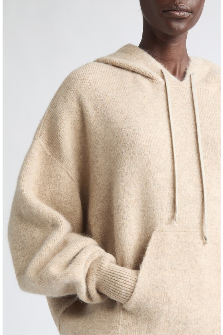 Hun Sweater Hoodie, Alternate, color, DNA