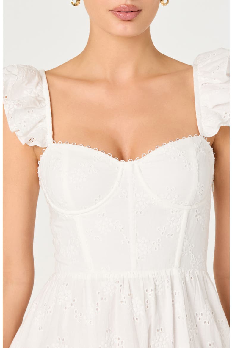 Wedelia Floral Eyelet A-Line Dress, Alternate, color, WHITE